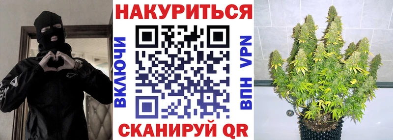 купить наркотики цена  Невельск  Бошки марихуана семена 